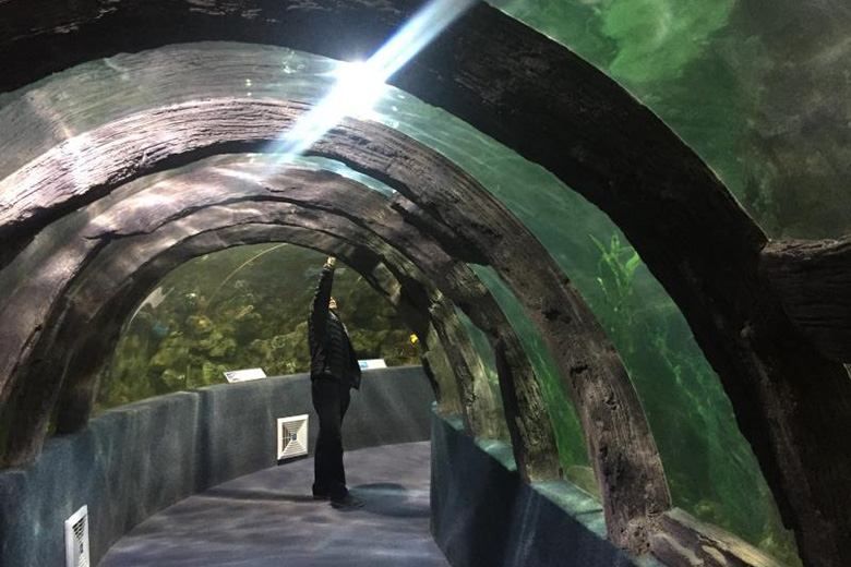 亞克力水族館
